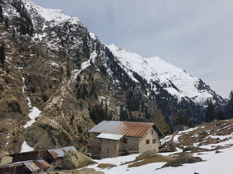 Bockerhütte Wanderungen und Rundwege komoot
