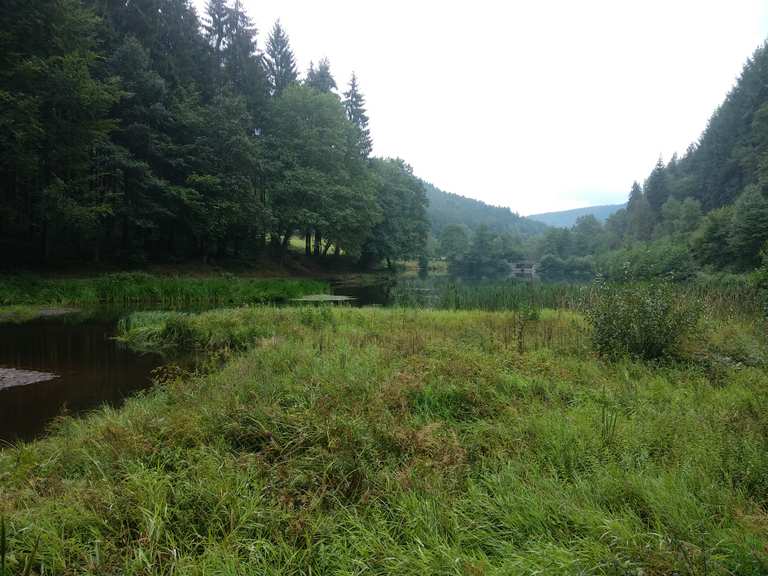 Eutersee Eberbach, RheinNeckarKreis Wandertipps & Fotos Komoot