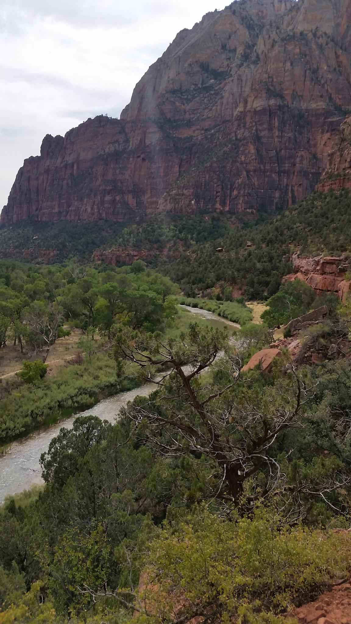 River winding through a green valley, framed by a large red cliff and trees.