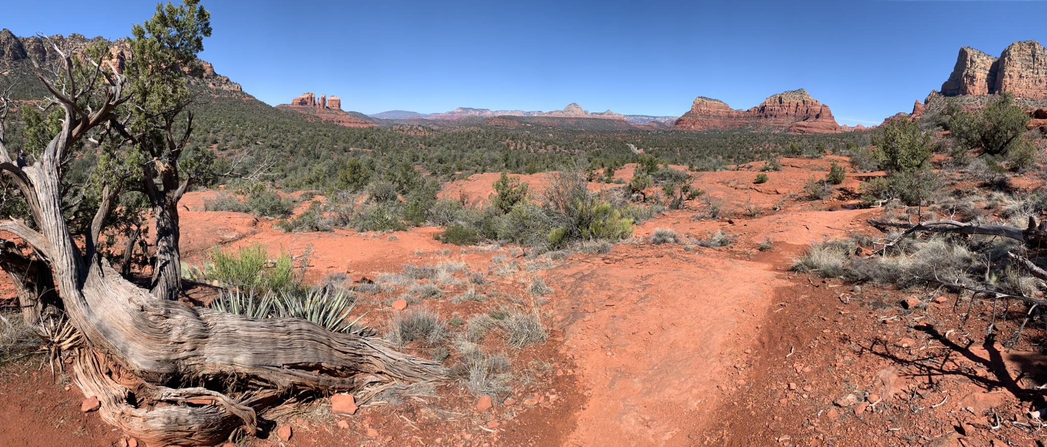Panoramic view of a red desert trail winding through sparse vegetation and distant mountains.