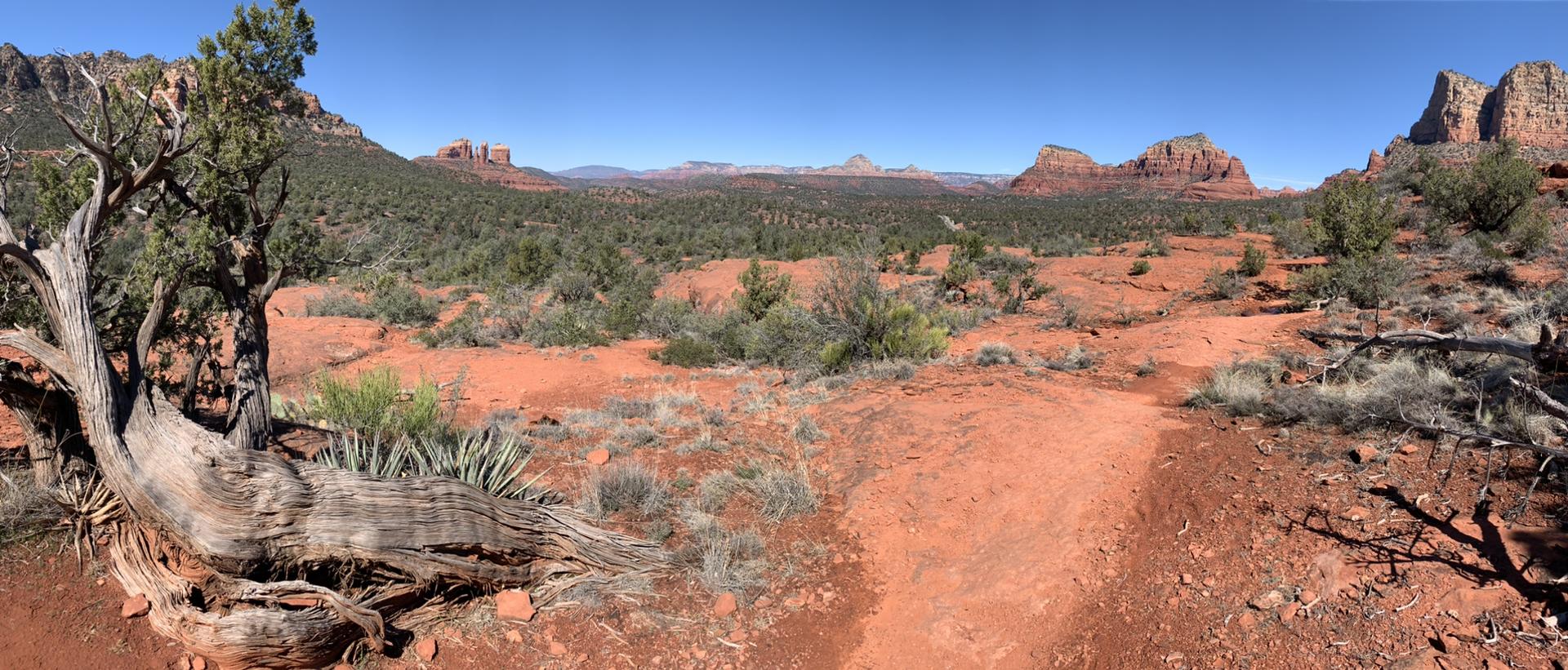 Panoramic view of a red desert trail winding through sparse vegetation and distant mountains.