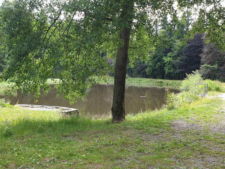 Schwarzer Teich Wanderungen und Rundwege komoot