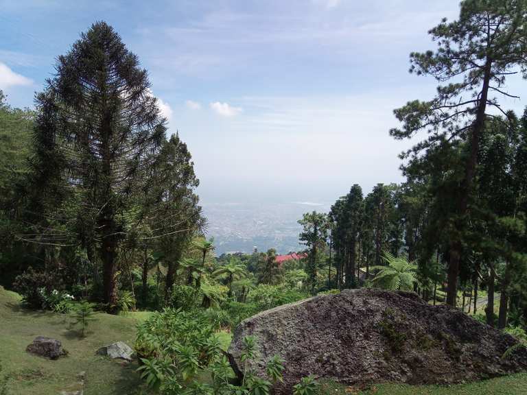 Bukit Larut Maxwell Hill Malaysia Hiking Tips Photos Komoot