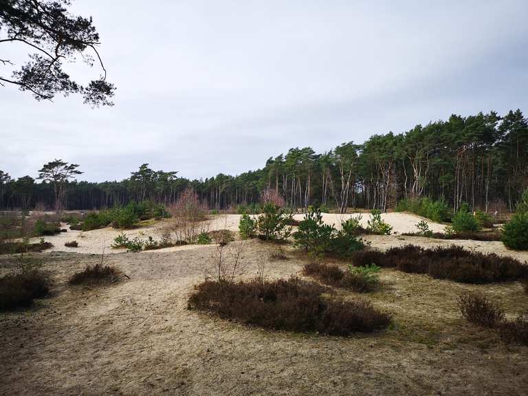 Holmer Sandberge: Wanderungen und Rundwege | komoot