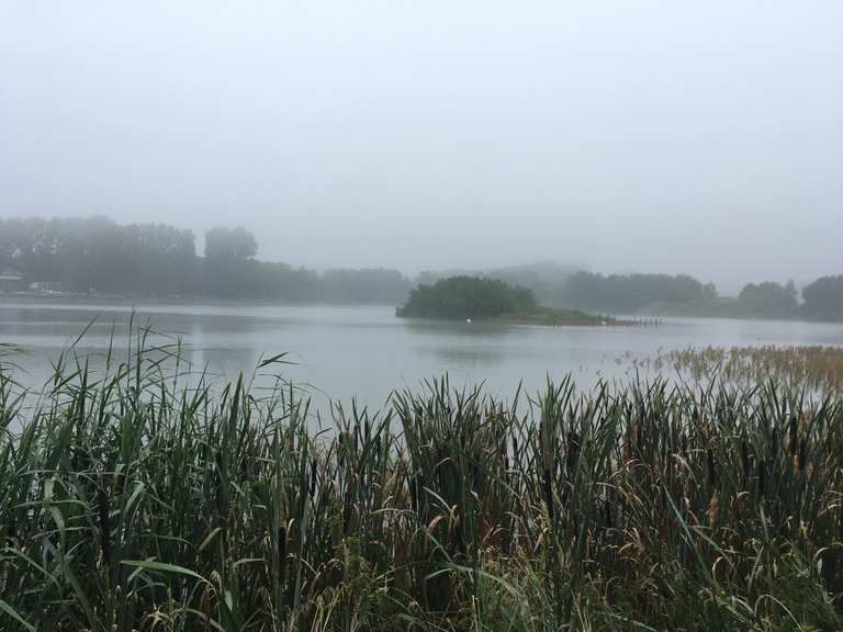Großer Teich Sauna und Bademöglichkeit MountainbikeTouren und Trails
