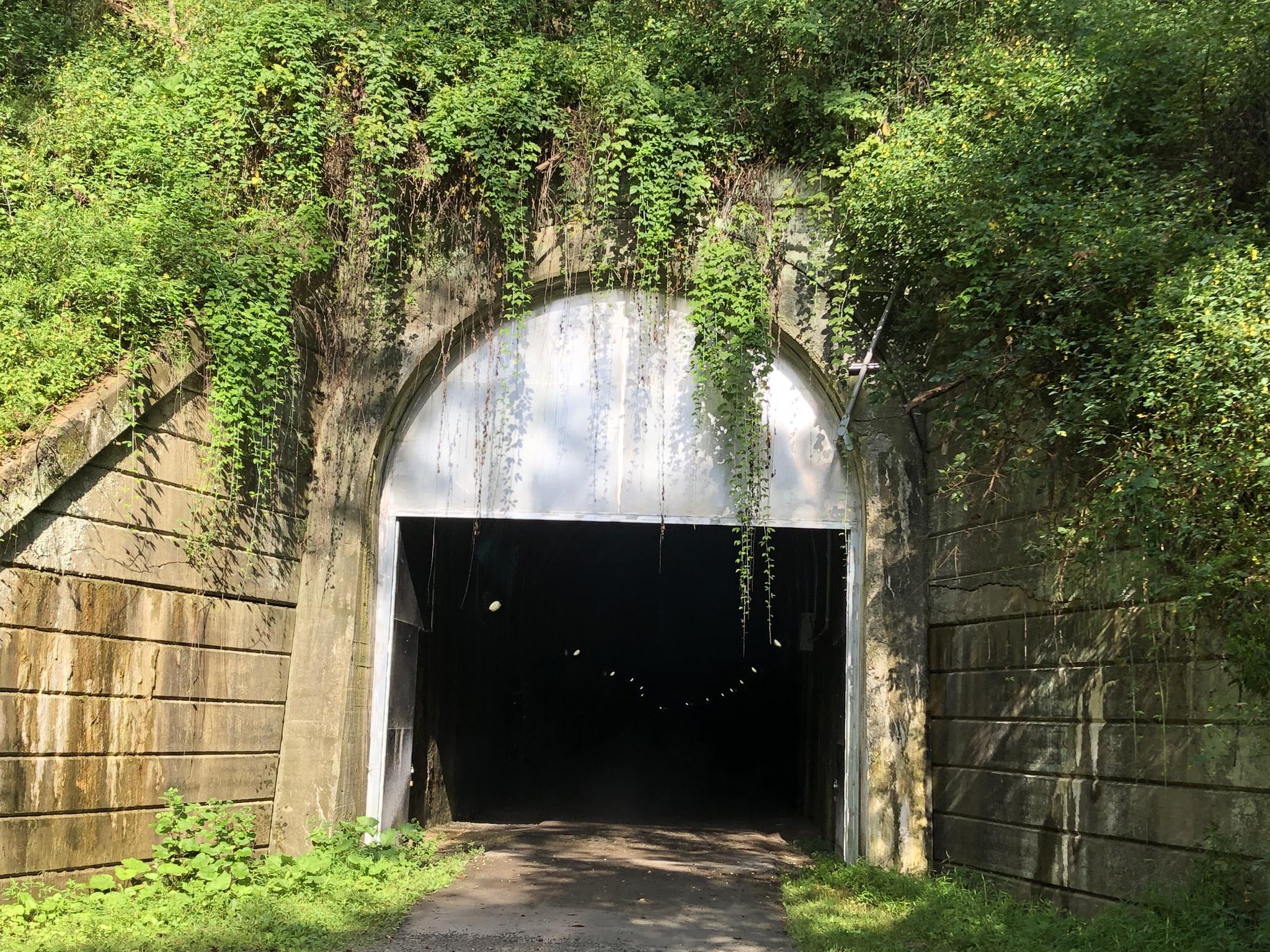 A dark tunnel entrance covered in green vines, surrounded by stone walls.