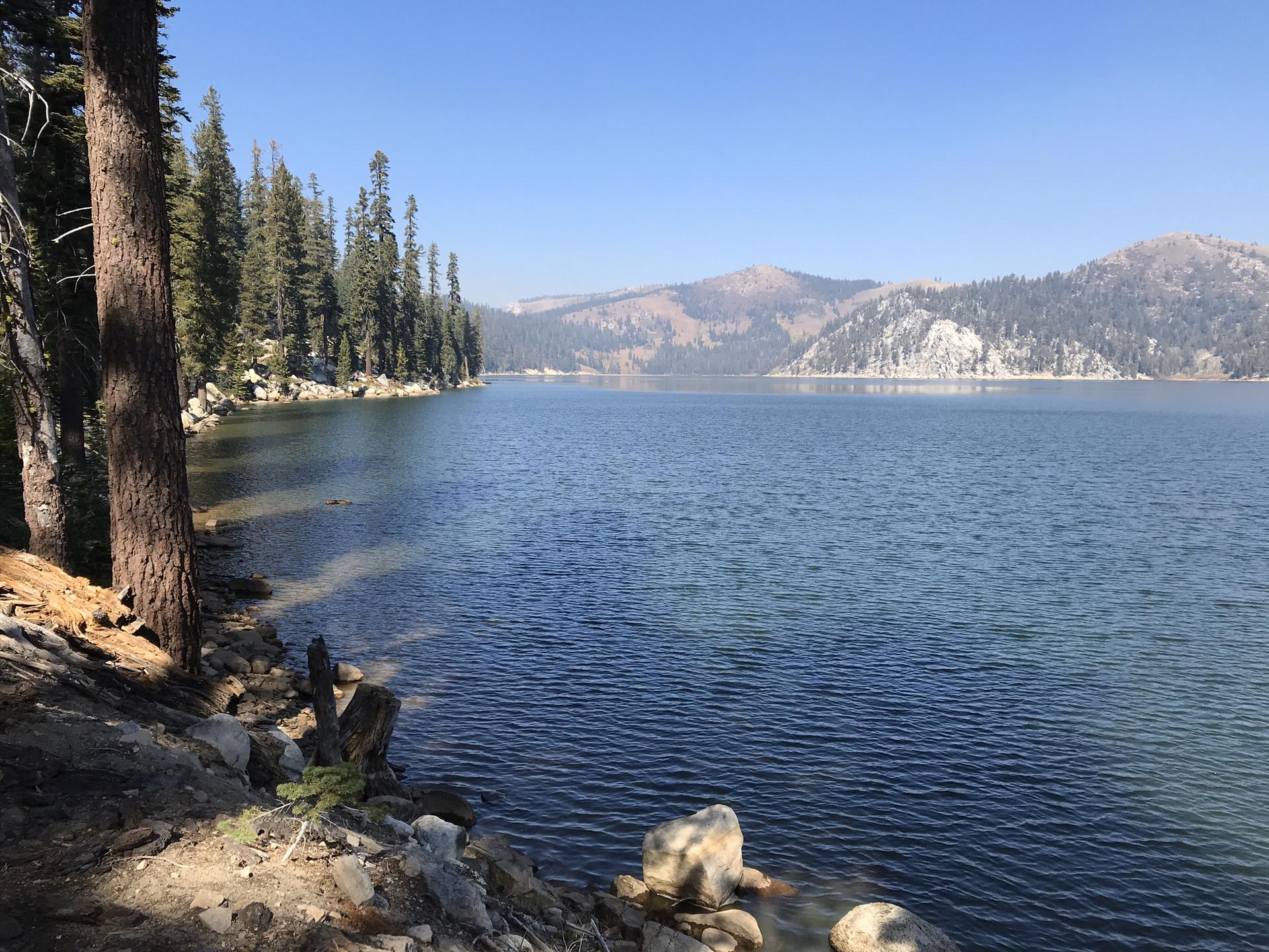 A calm lake surrounded by a pine forest and distant mountains under a clear sky.