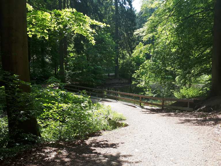 BlankeTeich Routes for Walking and Hiking Komoot