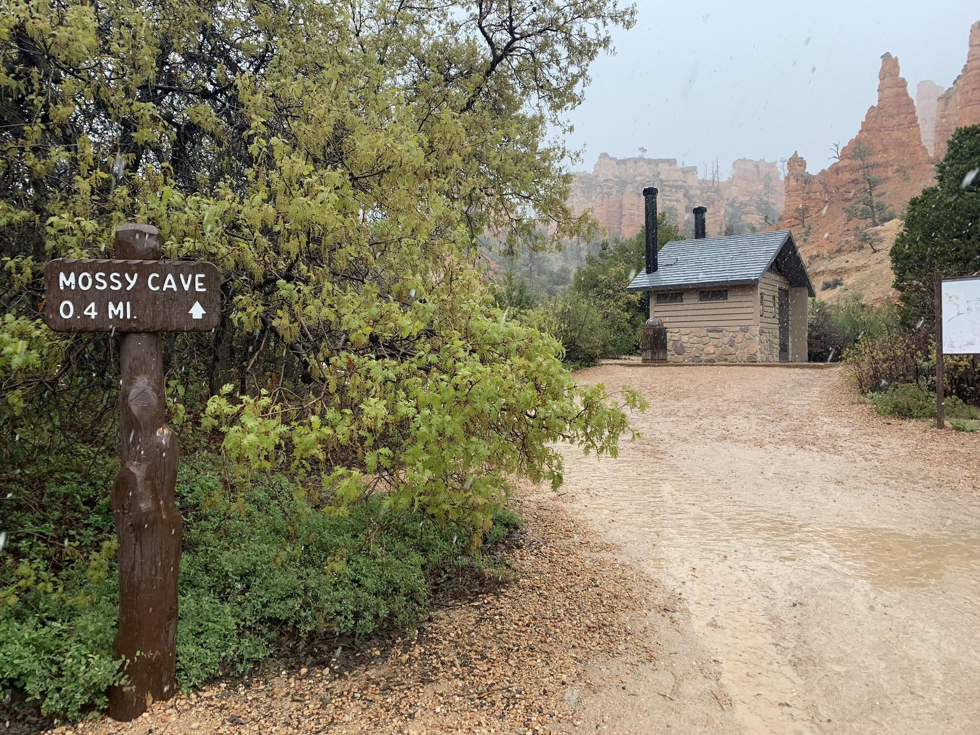 Wooden sign pointing to 'Mossy Cave' next to a small building and trees.