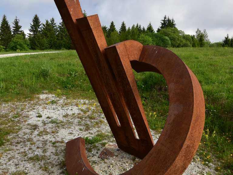 Erbeskopf (Höchster Punkt RheinlandPfalz) Wanderungen und Rundwege