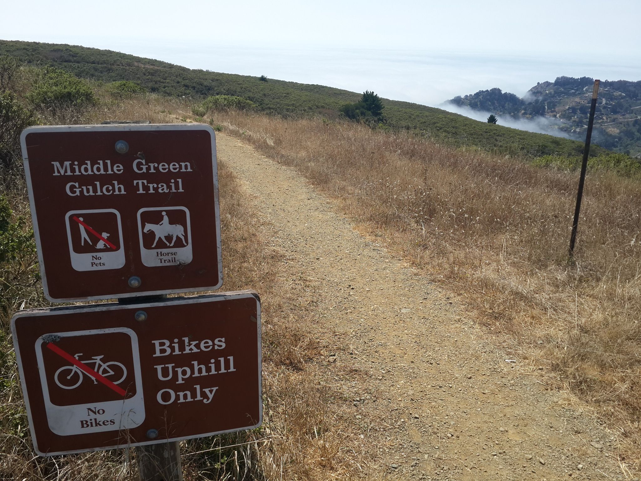 Trail signs stand beside a dirt path on a grassy hillside under a cloudy sky. - Green Gulch Loop