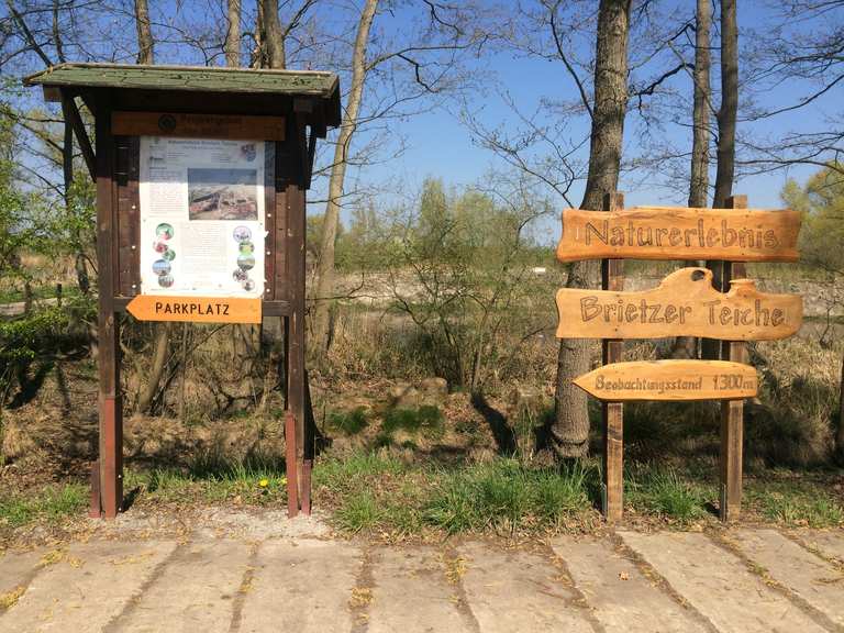 50+ Brietzer Teiche, Etappe gibt am harper mühlenbach einen einblick