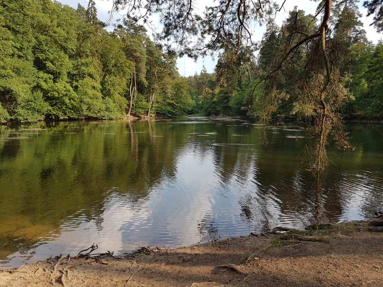 Donoper Teich (Damm) MountainbikeTouren und Trails komoot