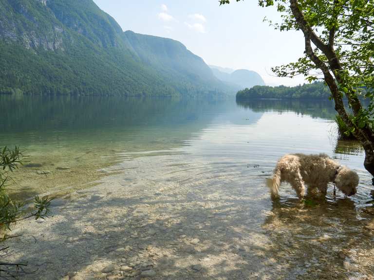 Lake Bohinj and Savinca waterfall Oberkrain, Slowenien