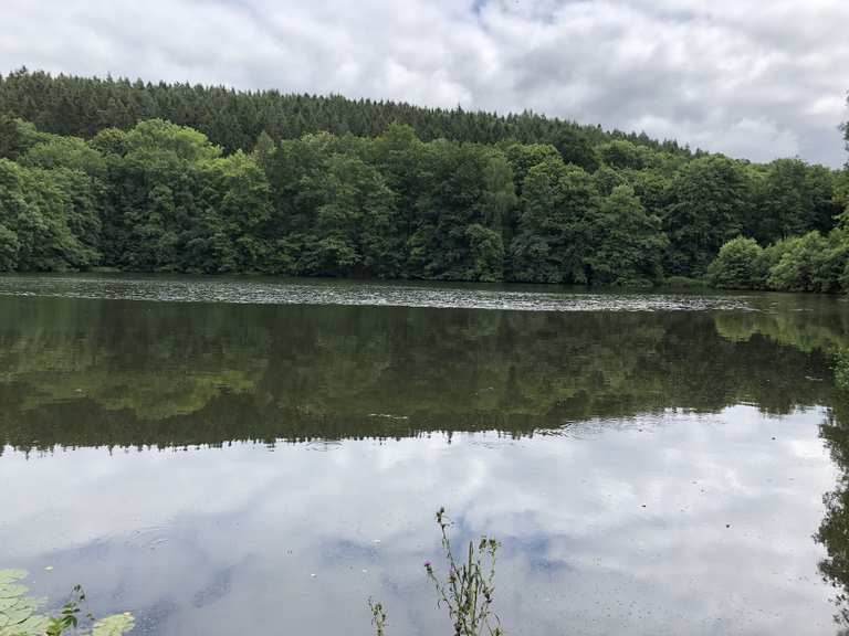 Reinhardsbrunner Teiche Mountain Bike Trails & Tracks Komoot