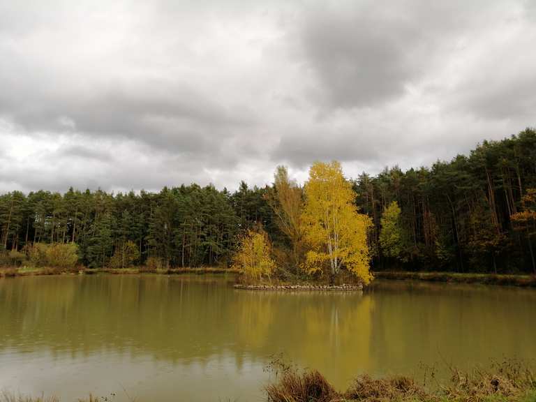 Möninger Berg MountainbikeTour Komoot