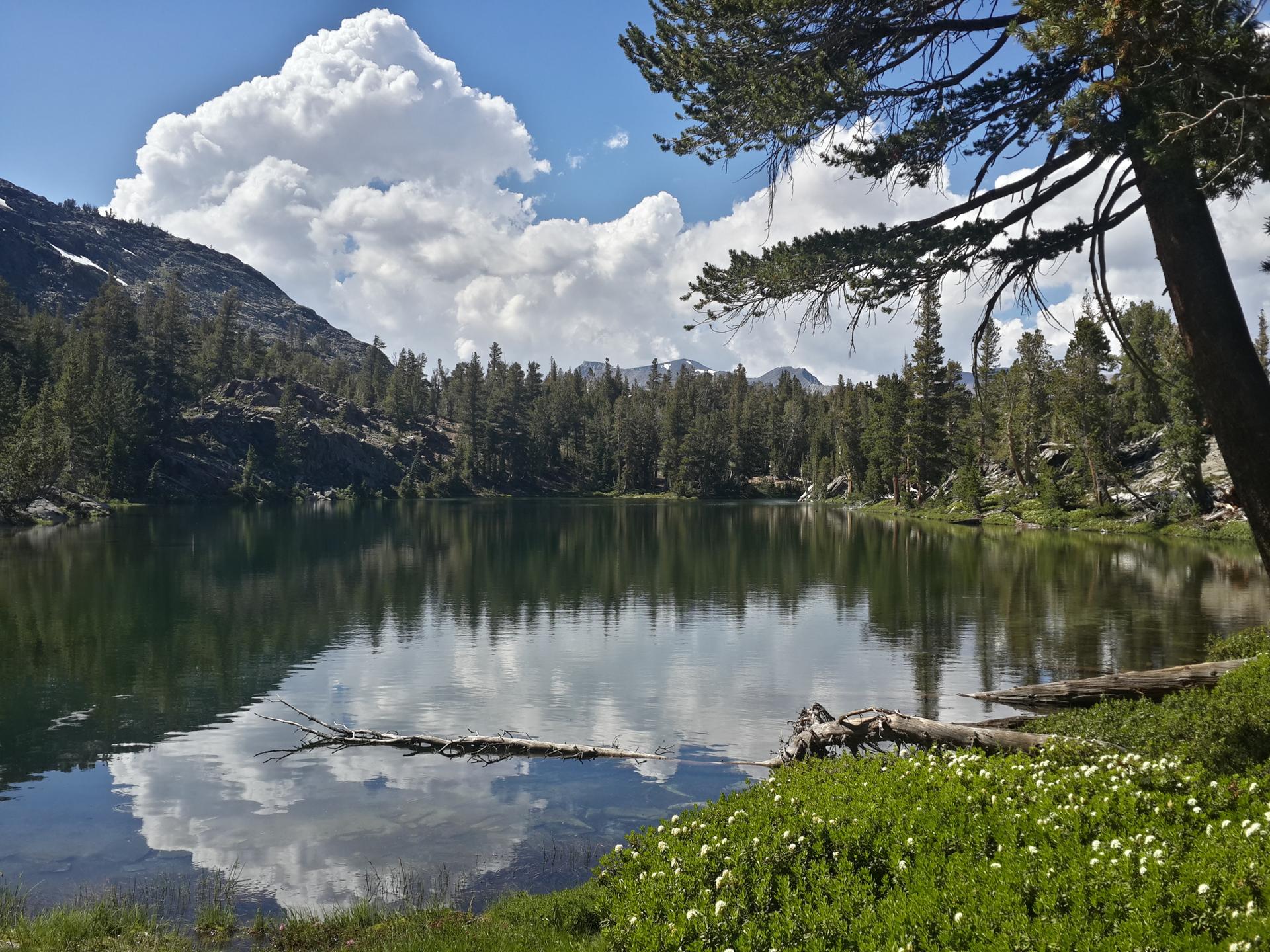 Serene lake reflecting clouds, surrounded by pine trees and rocky terrain.