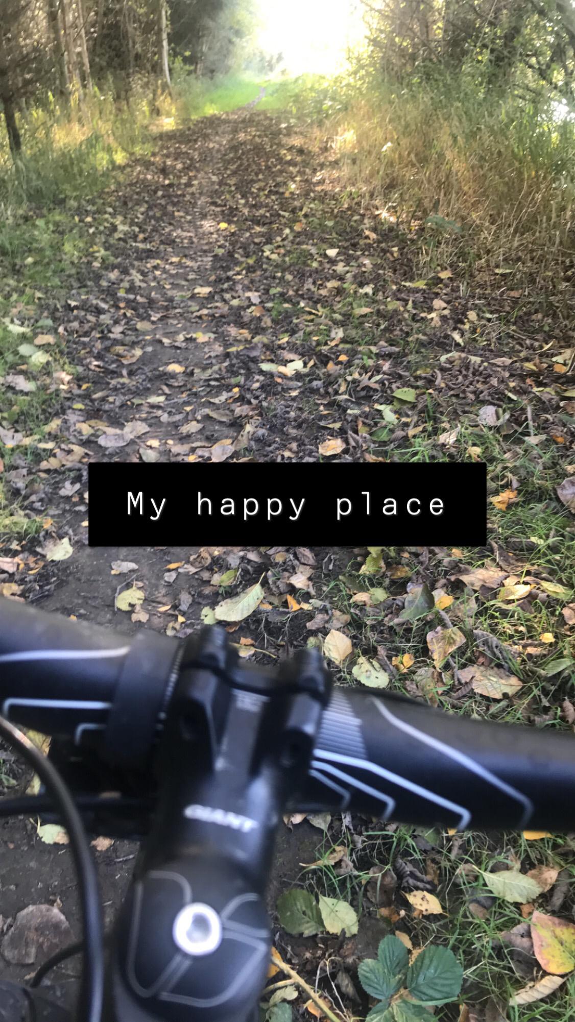 POV from bike handlebars on a leafy forest trail with bright light.