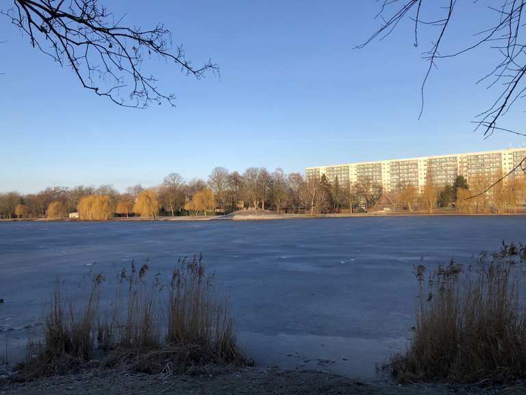 Stadtsee und Stadtseeinsel Stendal Wanderungen und Rundwege komoot
