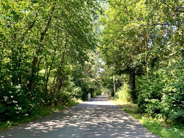 Pappelallee am Stadtwald Greifswald: Rennradfahren und Rennradtouren ...