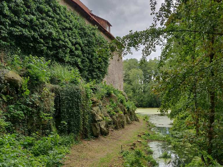 singletrails wolfsburg