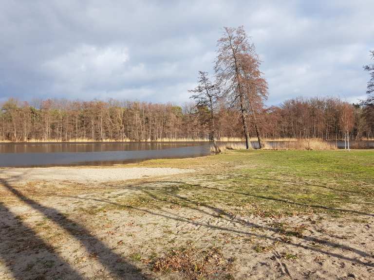 Krummer See Wanderungen und Rundwege komoot