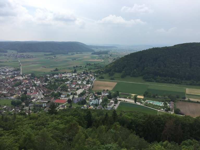 Beringer Randenturm Wanderungen und Rundwege komoot