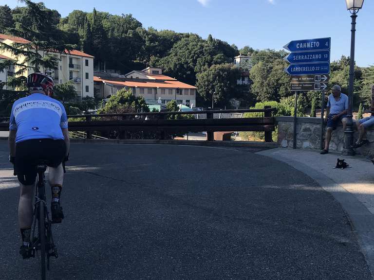 negozi biciclette cecina