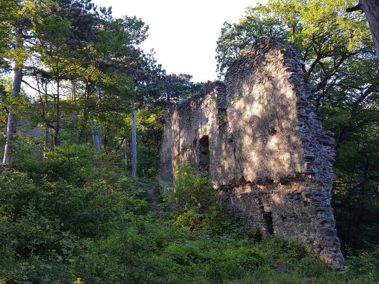 Burgruine Kammerstein Wanderungen und Rundwege komoot
