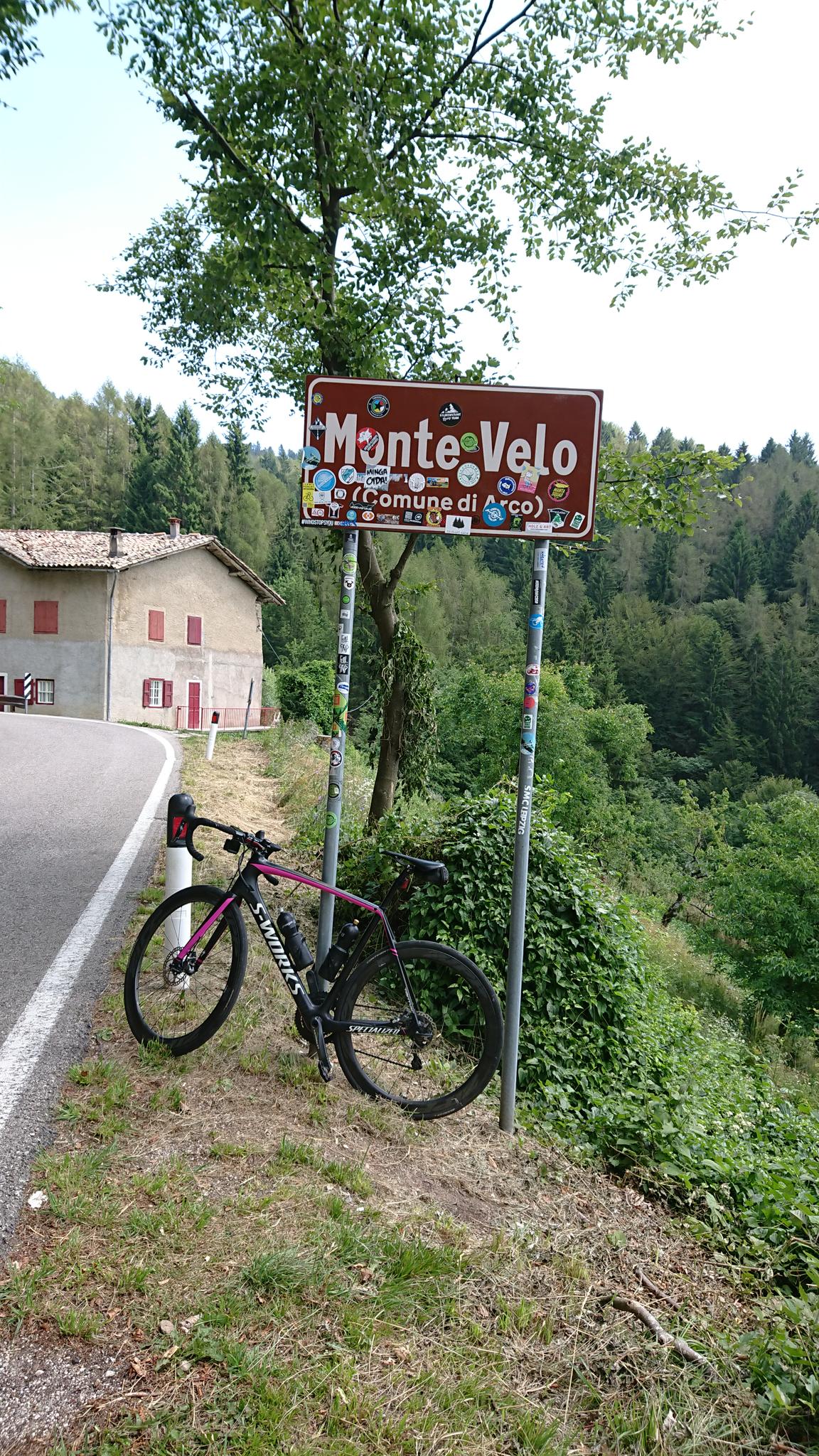 monte velo mtb