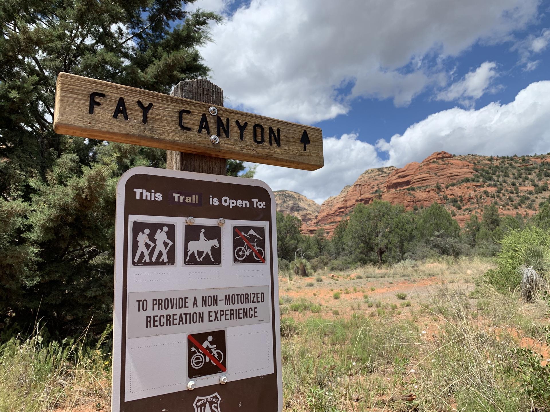 Wooden trail sign with activity icons, red rock mountains, and cloudy sky.