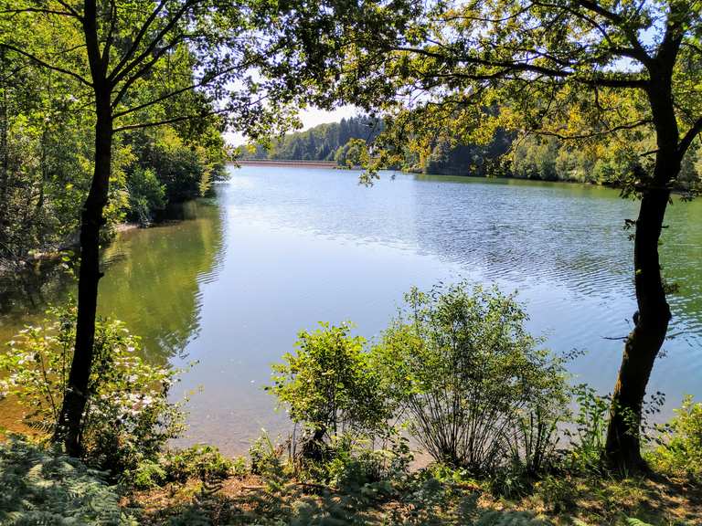 Die Silbertalsperre (Schevelinger Talsperre) Wanderungen und Rundwege