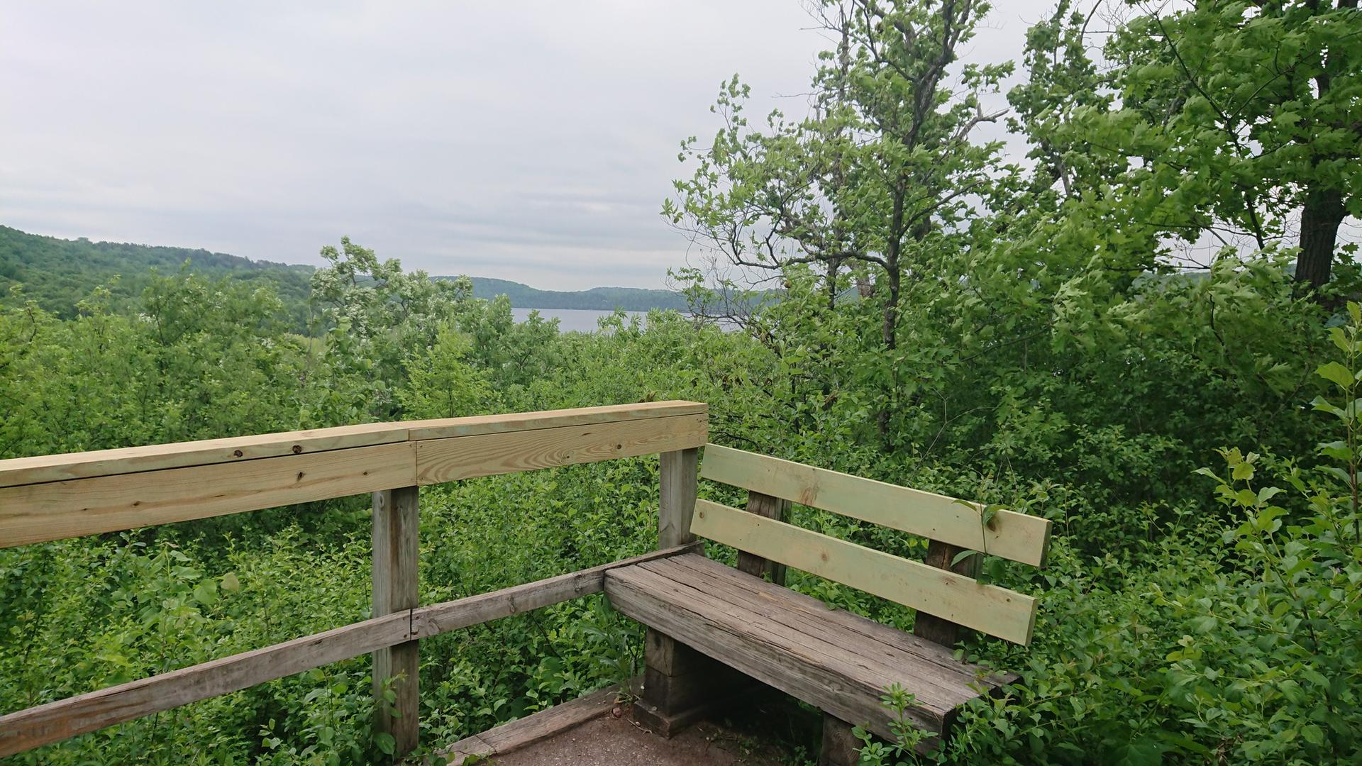 A wooden bench and railing overlook a lush green forest and water.