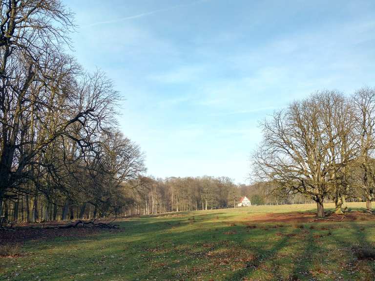 Wildpark Dülmen fietsroutes en kaart | Komoot