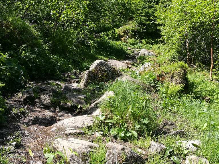 Felsenweg Col de la Schlucht Wanderungen