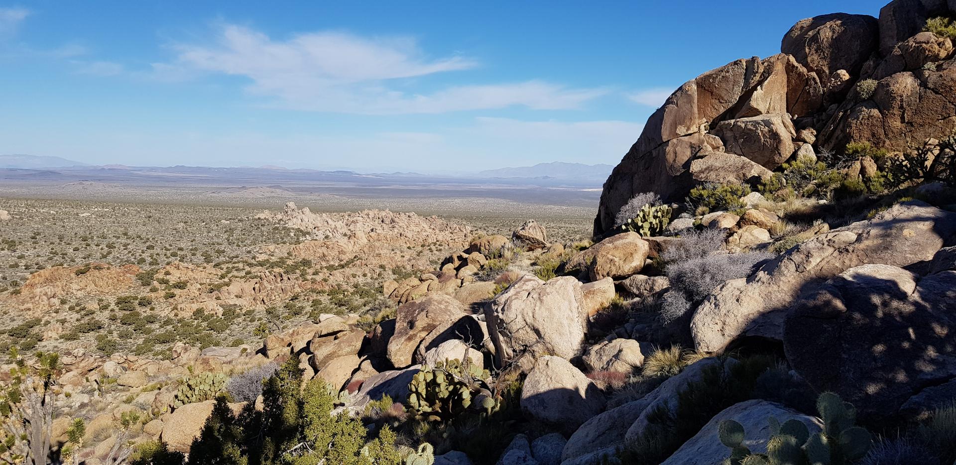 Rocky desert landscape under a bright blue sky with distant mountains.