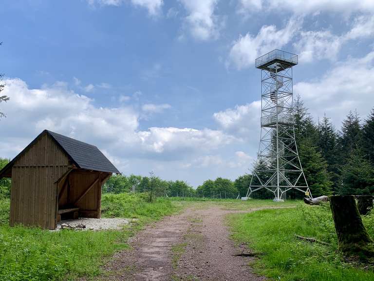 Hochsteinchen - Rheinböllen, Rhein-Hunsrück-Kreis | Wandertipps & Fotos