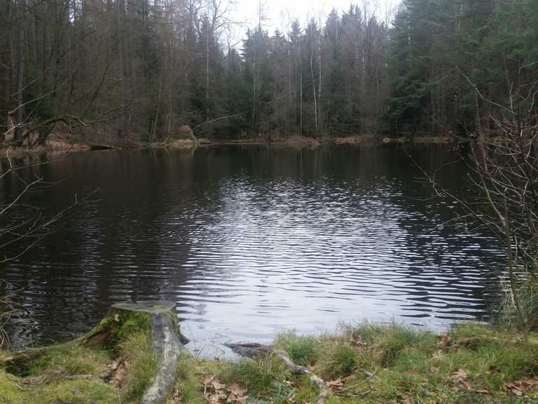 Schwarzer Teich Routes for Walking and Hiking Komoot