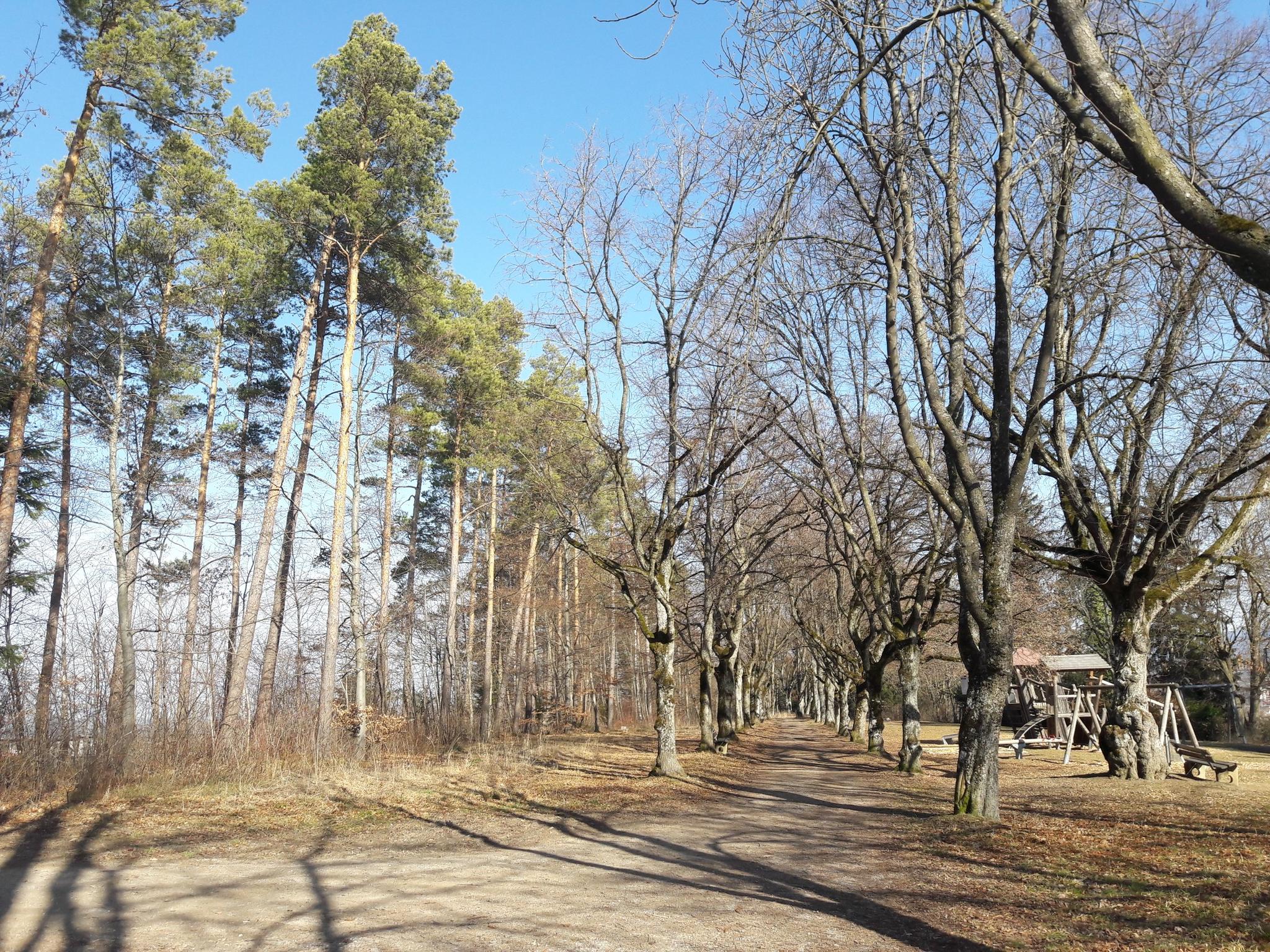 Auf Dem Heuberg – Schieferseen Balingen, Heuberg Runde Von Balingen ...