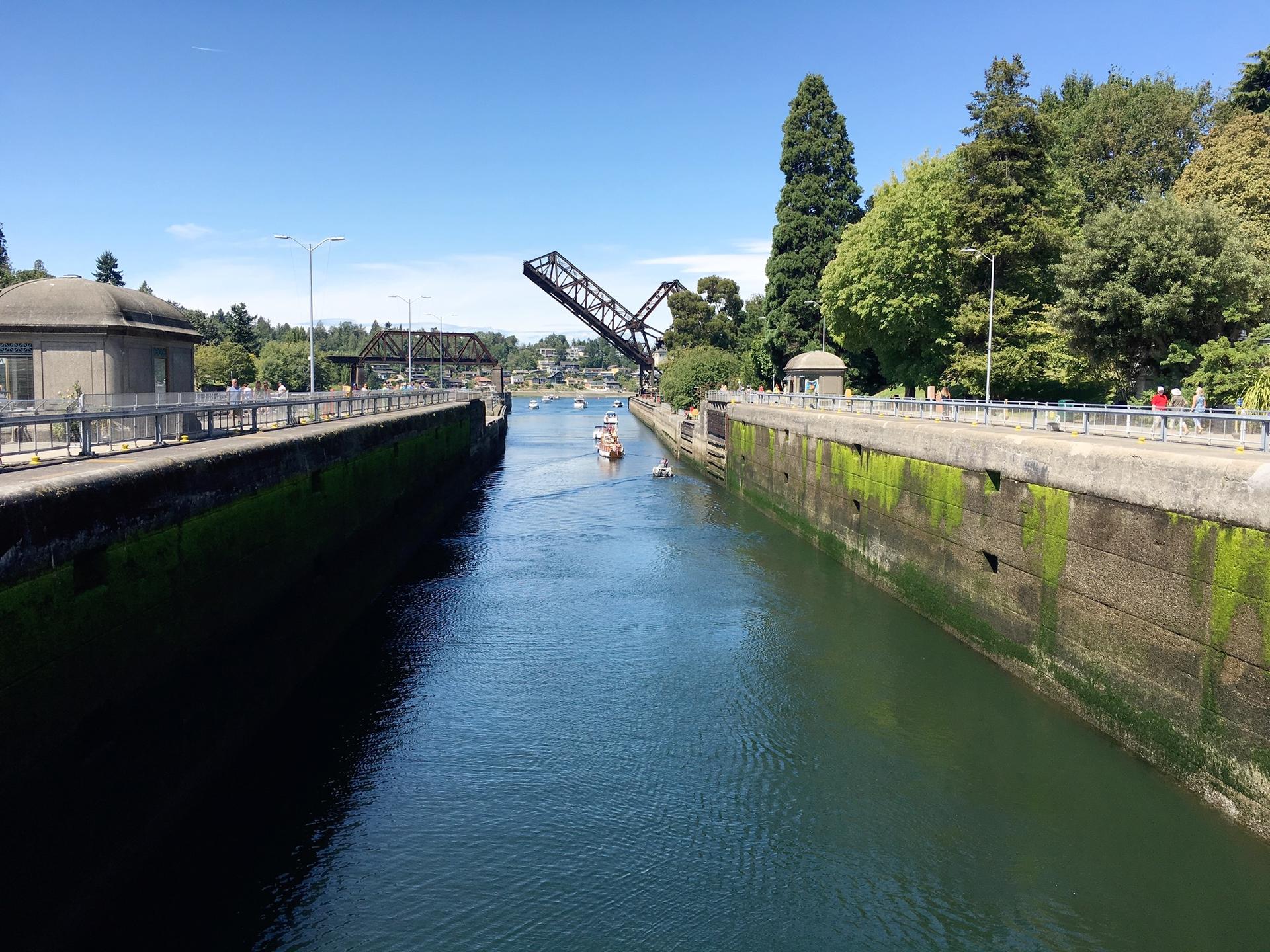 Boats in a canal with mossy concrete walls and a raised drawbridge. Sunny.