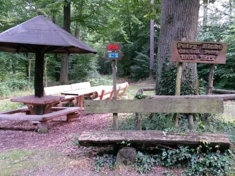 Petry Eiche Kelterplatz Langenlonsheim Runde von Langenlonsheim