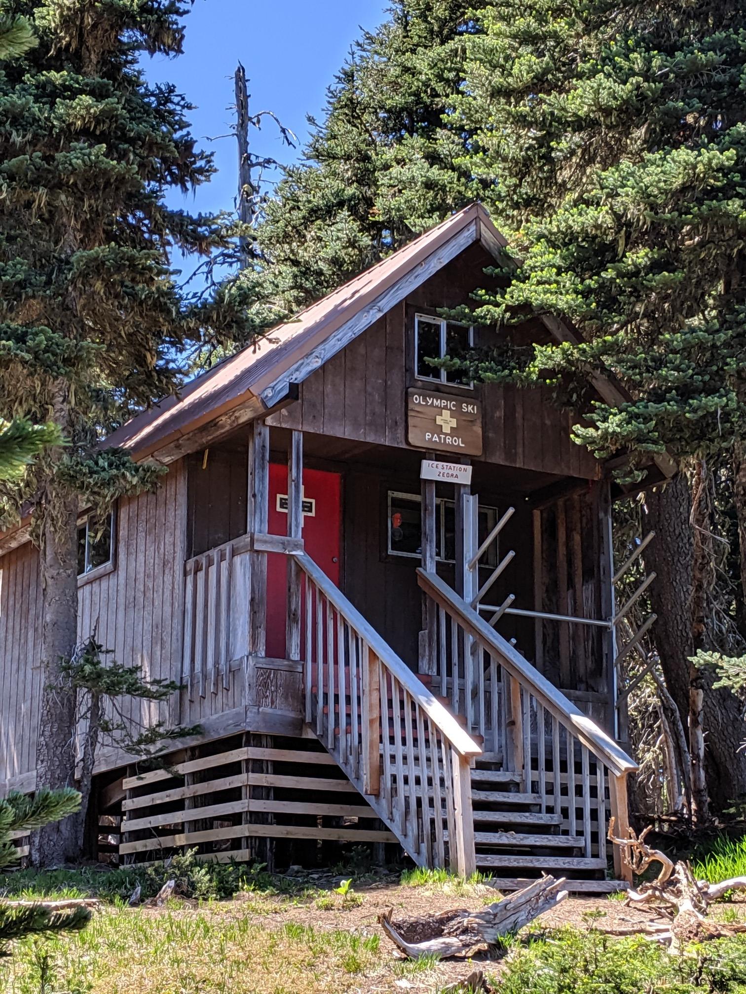 A rustic wooden cabin with a red door stands among tall evergreen trees.