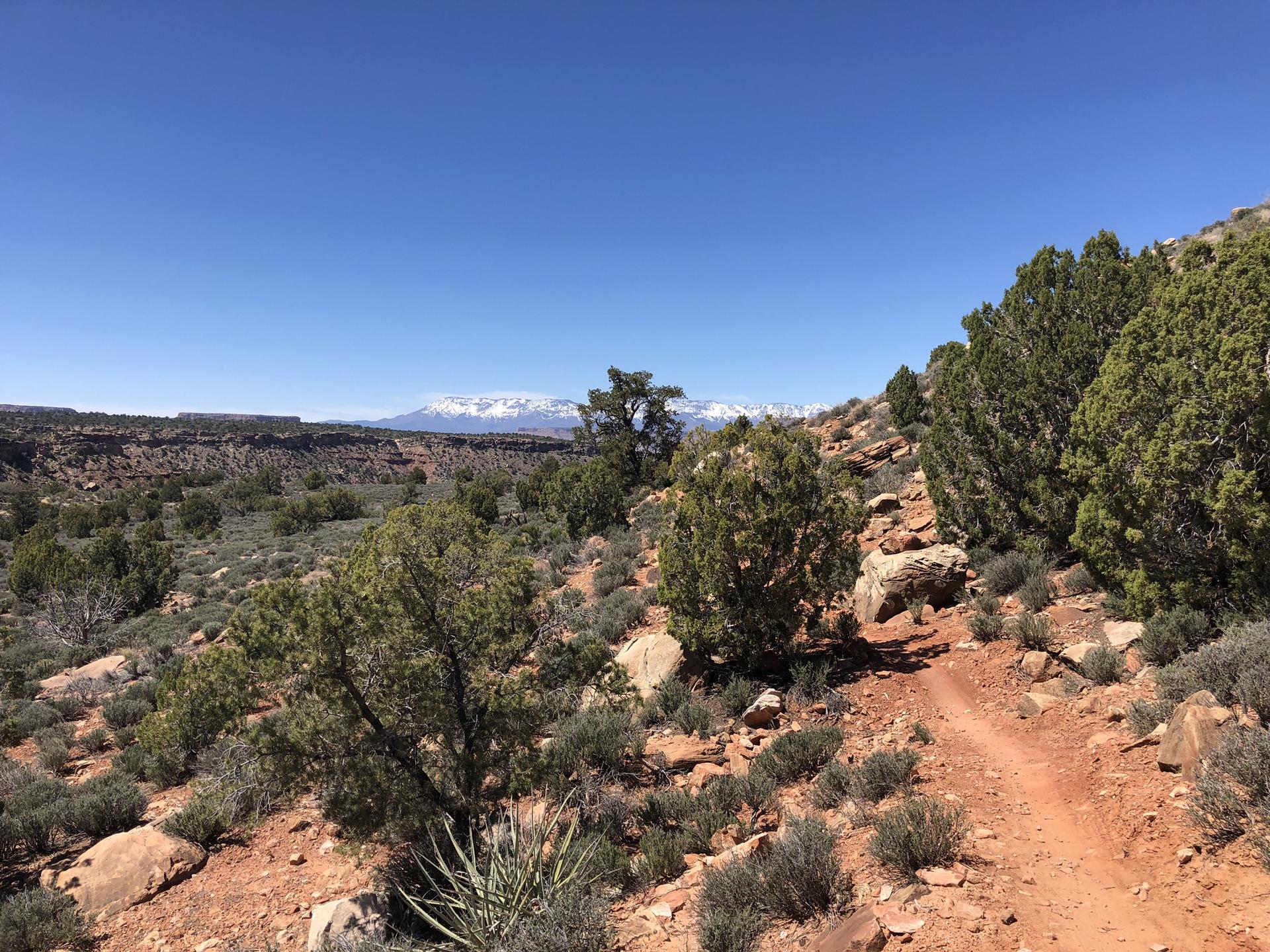 A winding dirt trail through desert scrub, with distant snow-capped mountains.