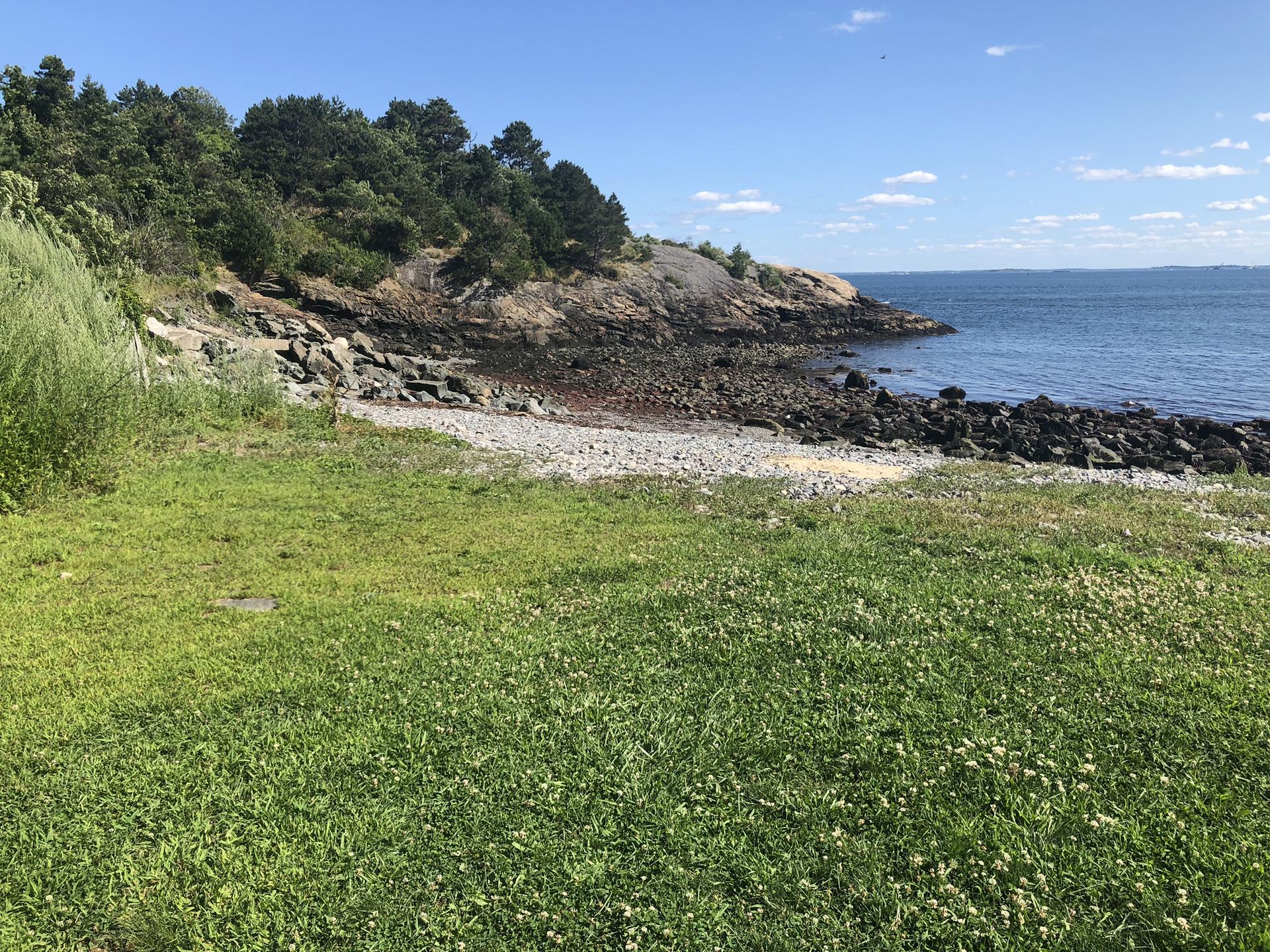Grassy area leading to a rocky beach, ocean, and tree-covered cliff.