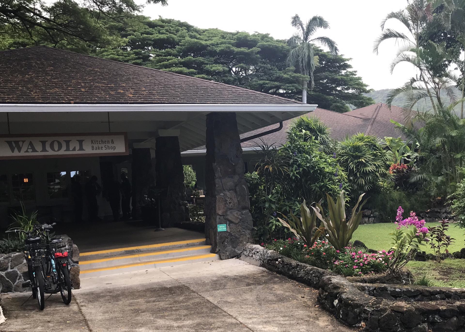 Overcast view of a building entrance, tropical plants, and a parked bicycle.