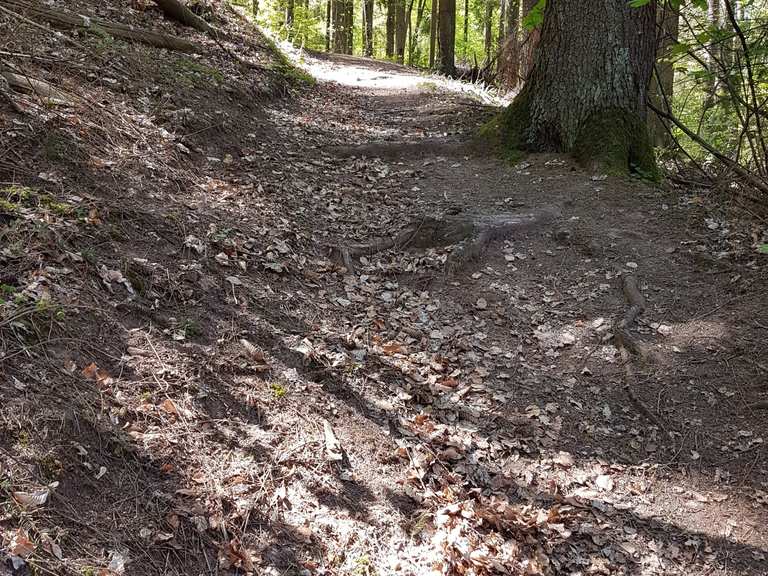 fahrrad bundenthal