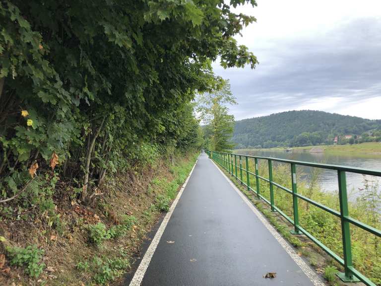 Elberadweg von Bad Schandau nach Königstein Rennradfahren und Rennradtouren komoot