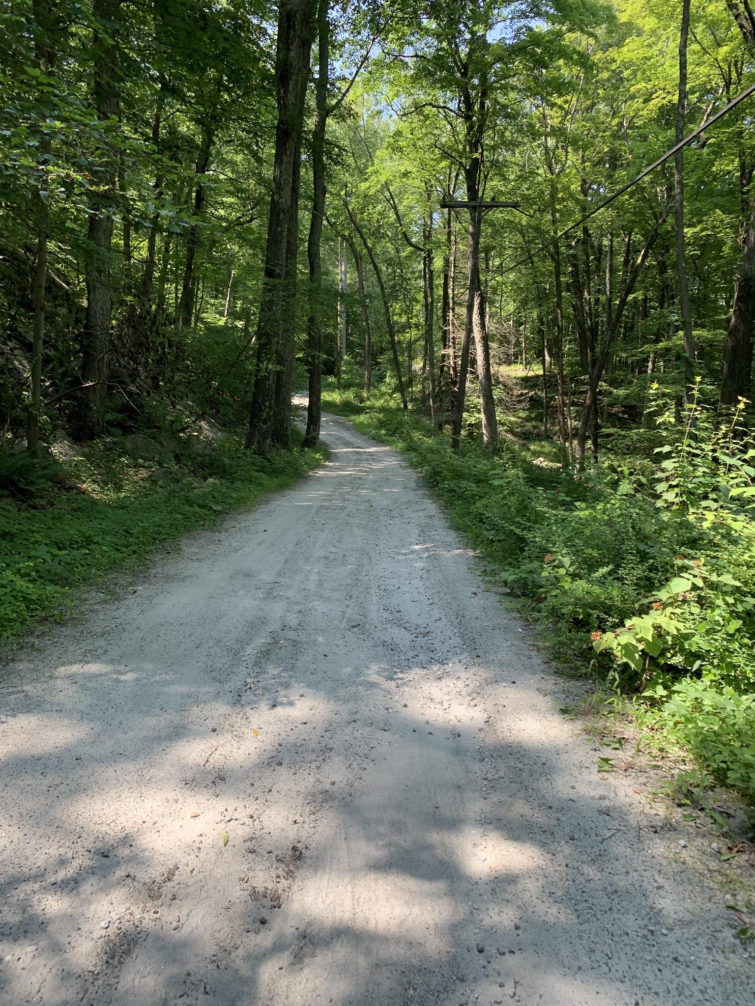 A shaded dirt path winding through a dense green forest with dappled light.
