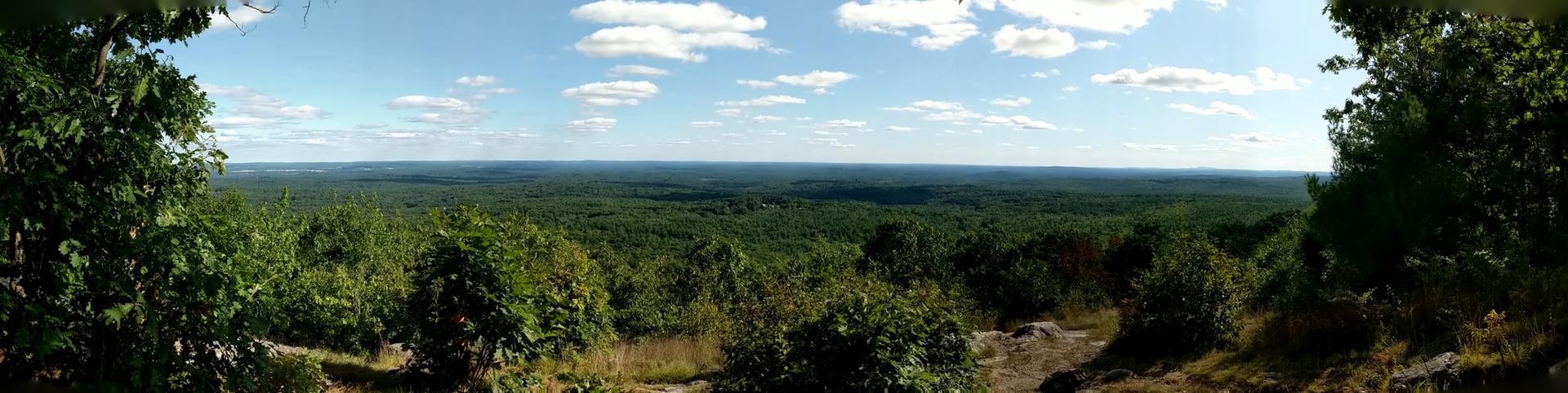 Panoramic view of a vast green forest under a bright, cloudy sky.