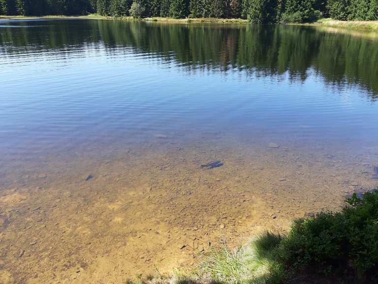 Oberer Hahnebalzer Teich percorsi e itinerari MTB Komoot